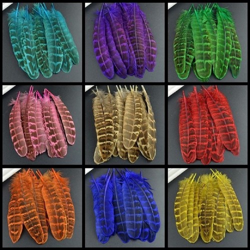 Pheasant feathers 15cm - pheasant, 10-15cm