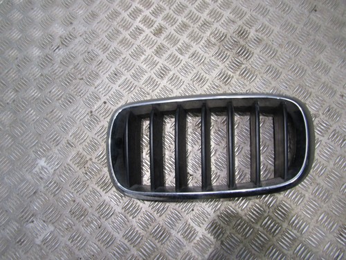117 bmw f15 kidney - 14-117, grill