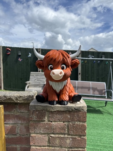 Printed highland cow - highland,