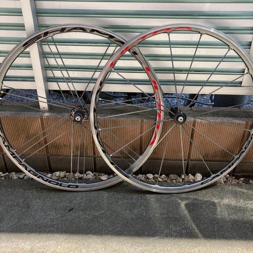 Precious campagnolo shamal - campagnolo,