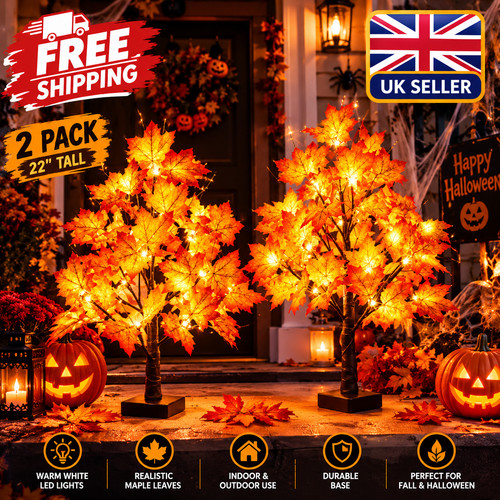 Pack lighted maple tree - 2,