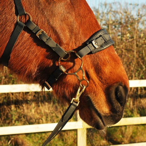 Barefoot style hackamore - style,
