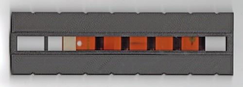 110 film adapter for - , plustek