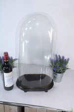 Antique large oval glass dome