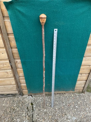 Unique tri segment ash burr - ash,