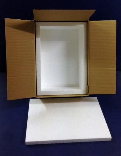 Polystyrene cool fish box - cool,