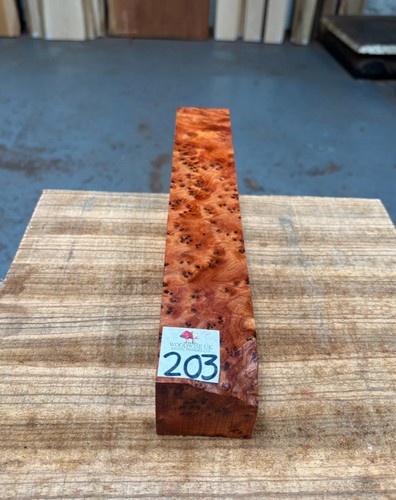 Thuya burr x 12 - x, 12”
