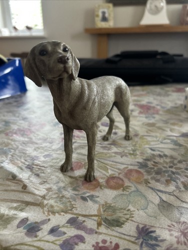 Leonardo collection weimaraner - collection,