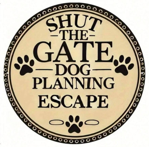 Dog planning escape funny - planning,