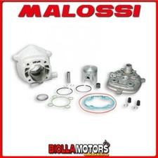 318430 CYLINDER MALOSSI MHR