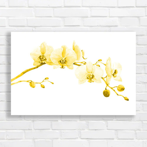 Exquisite watercolor flower - exquisite,