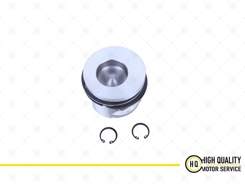 Piston with ring for - with,