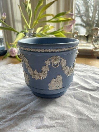 Wedgwood jasper ware plant - wedgwood, pot