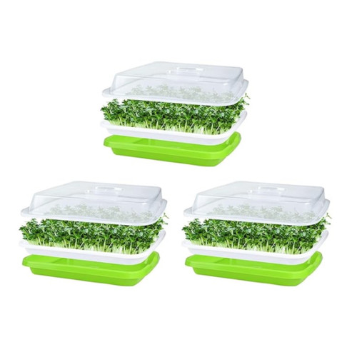 Microgreens seed seedling - seedling, tray