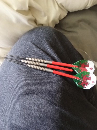 Winmau daryl fitton - daryl, 25g