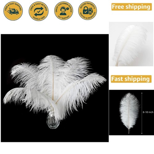 High quality white - white, ostrich