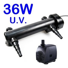 36W Fish Pond Waterfall