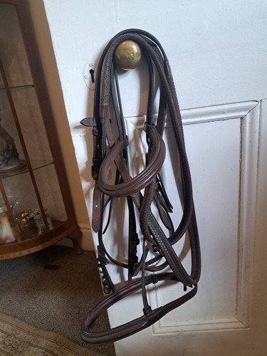 John whitaker havanna cob - john, size