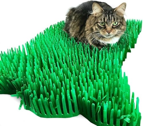 Premium green tissue - premium,