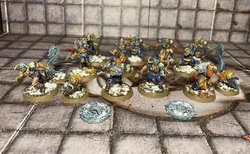 Painted blood bowl norse - blood, team