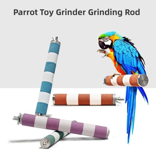 Bird claw beak - beak, grinding