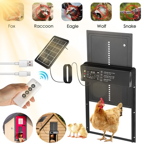Automatic chicken coop door - chicken,