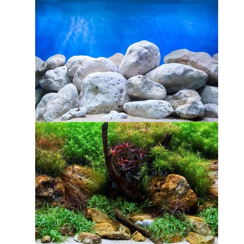 Marina aquatic garden bright - garden,