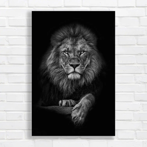 Majestic lion black and - lion,