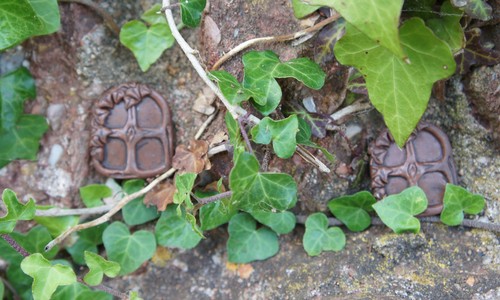 Small hobbit s fairy - , hobbit's/fairy