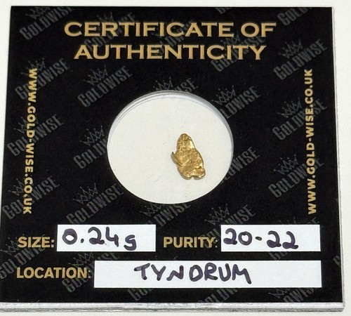 Rare raw gold scottish nugget - scottish,