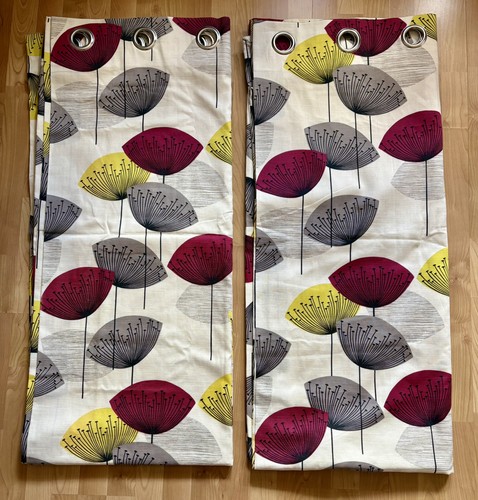 Sanderson dandelion clocks - dandelion,
