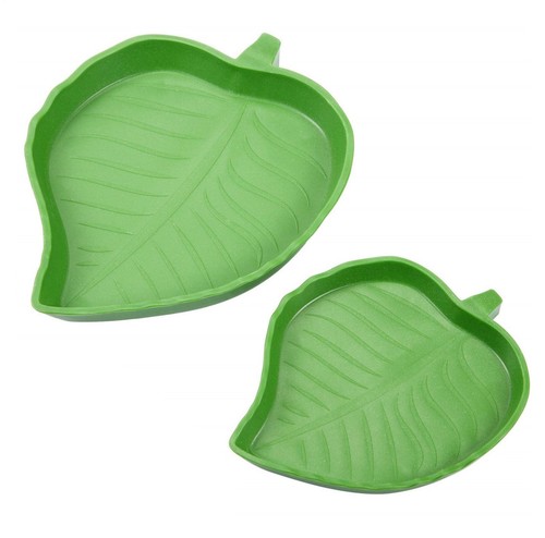 Leaf shape reptile - leaf, feeding