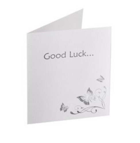 Silver butterfly lottery - silver,