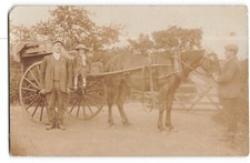 William Gough baker horse trap