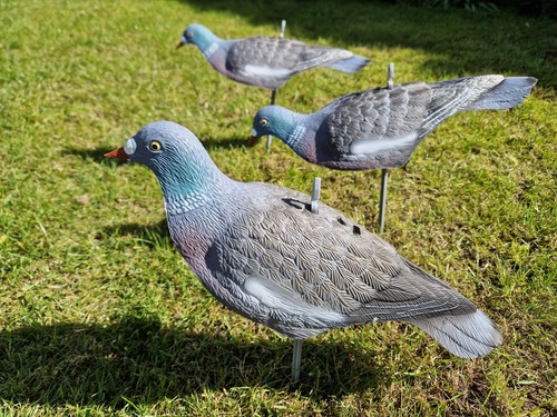 Pigeon decoys set - decoys, 12