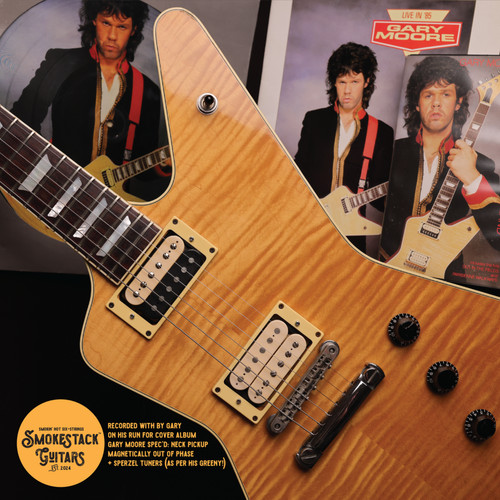 Hamer explorer 1984 owned - hamer,