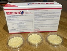 Bird Free Fire Gel Pigeon