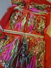 Dried Letterbox Flowers - Reds/Pinks - Craft - Gift - Everlasting - Valentines 