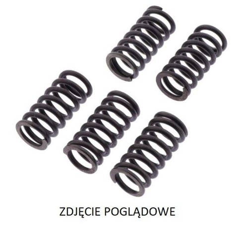 Clutch springs ducati - springs,