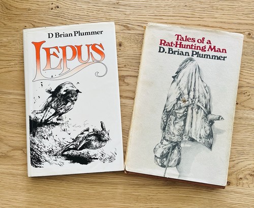 Lepus tales a rat - a,