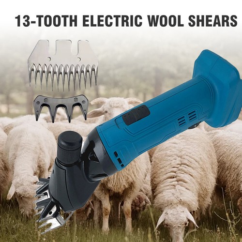 Electric sheep goat shearing - sheep,