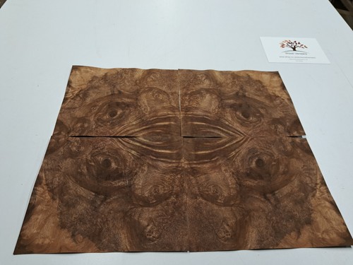 Burr walnut veneer 4 - 4, natural