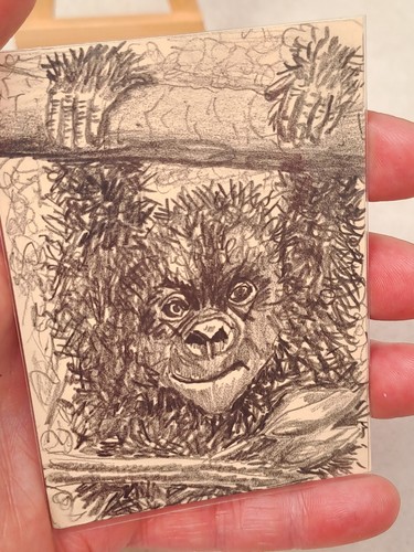 Aceo original not - aceo, a