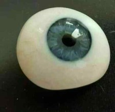 Vintage Human Prosthetic Eye ~