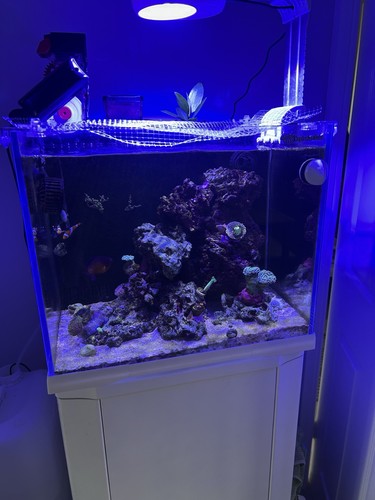 Complete nano reef tank - reef,