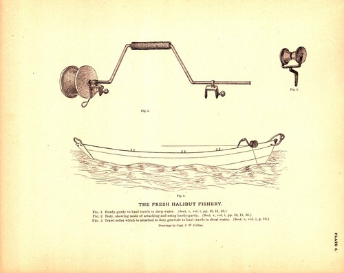 Hurdy gurdy dory boat - dory,, fresh