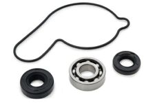AS3 WATER PUMP REPAIR KIT for
