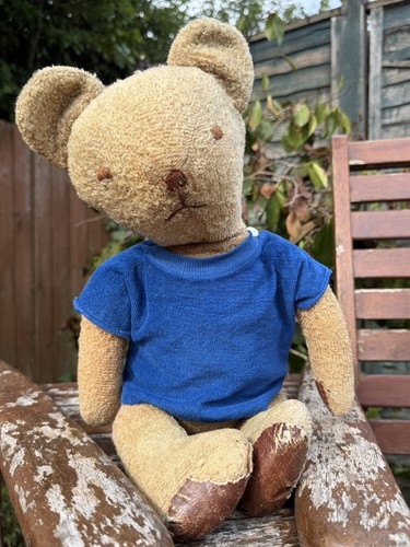 Vintage english teddy bear - english,