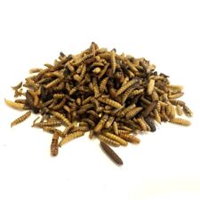 DRIED CALCIWORMS 5Kg WILD BIRD FOOD (HIGHER CALCIUM THAN MEALWORM) FROM MALTBYS'