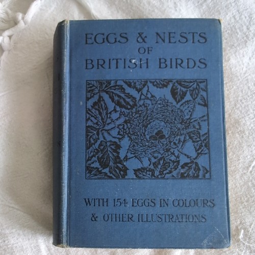Eggs and nests - eggs,